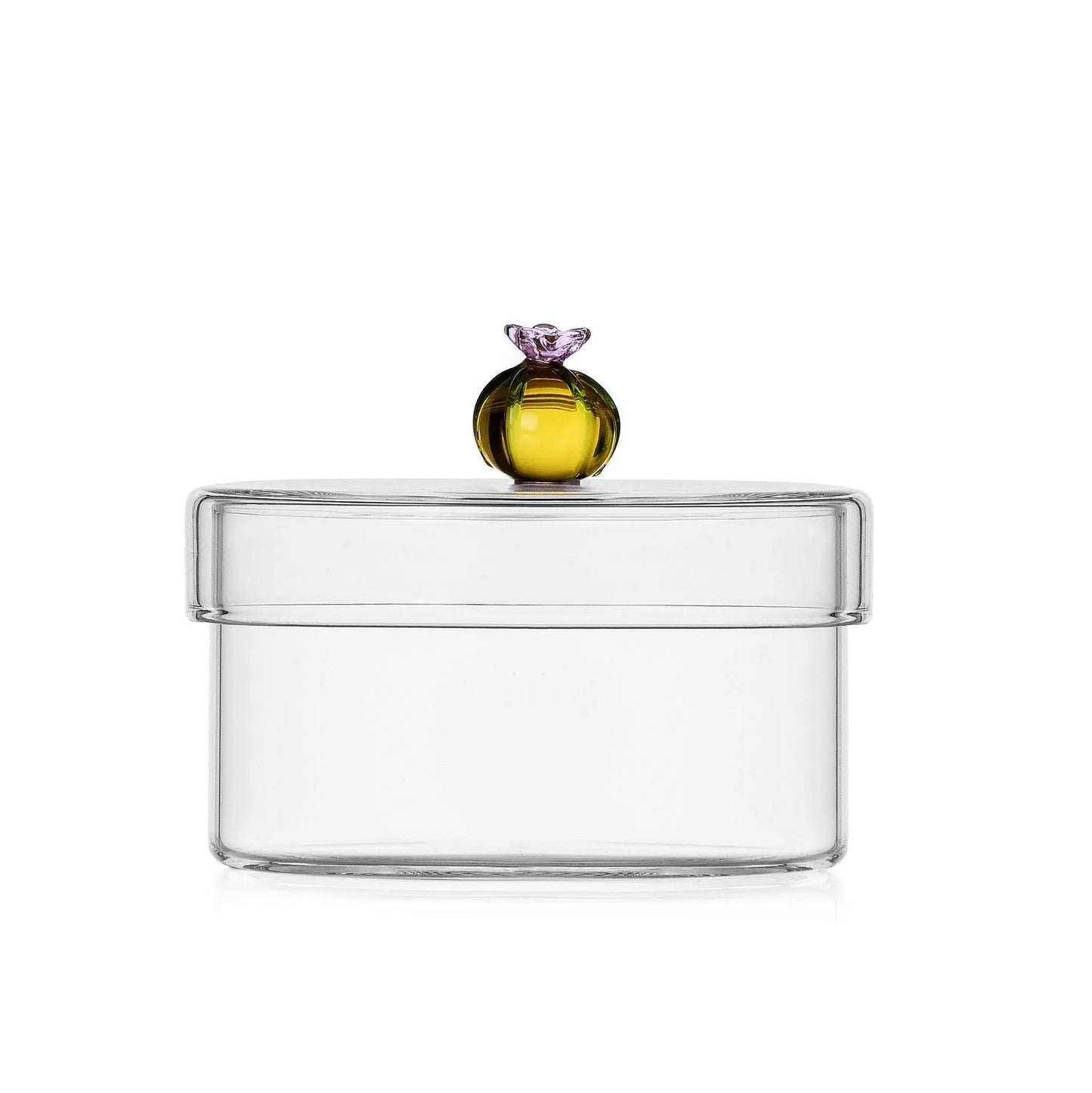 Box Cactus Amber Ichendorf