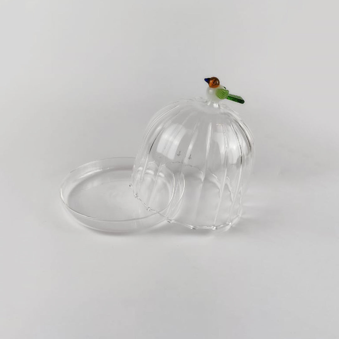 Optic Dome with Dish Bird Large - Pieces SA