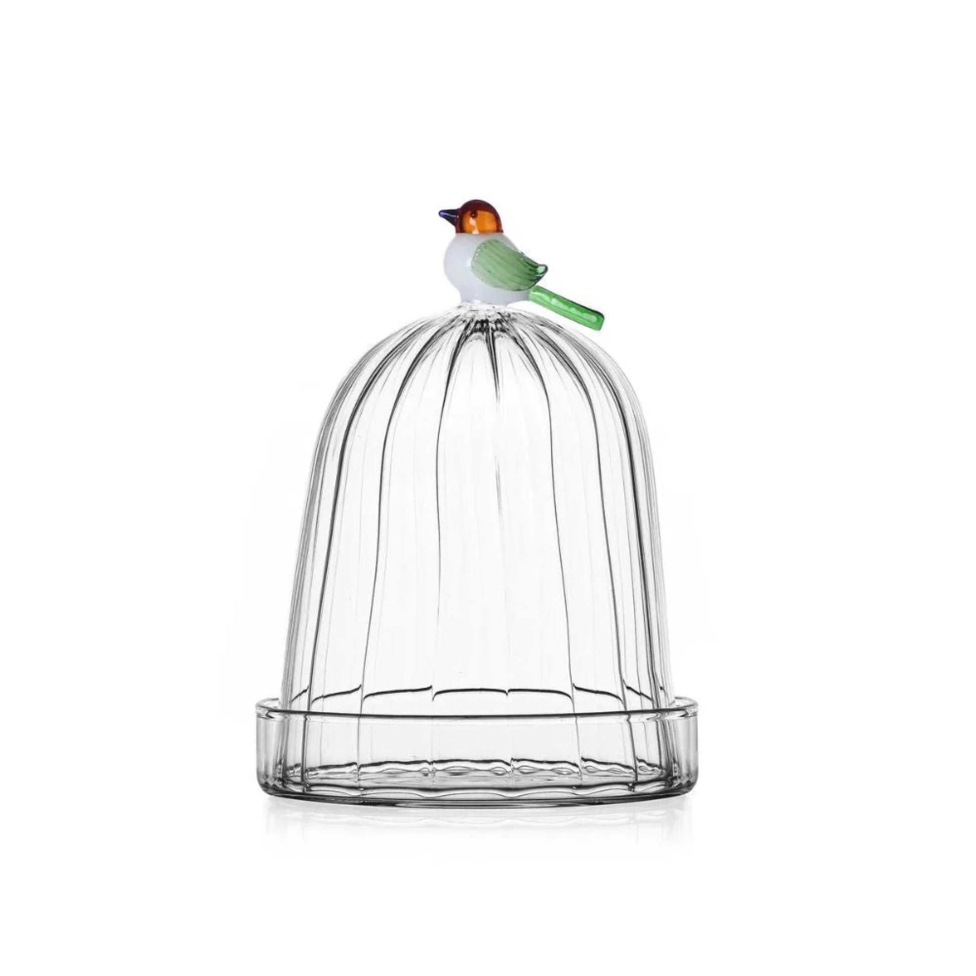 Optic Dome with Dish Bird Small - Pieces SA