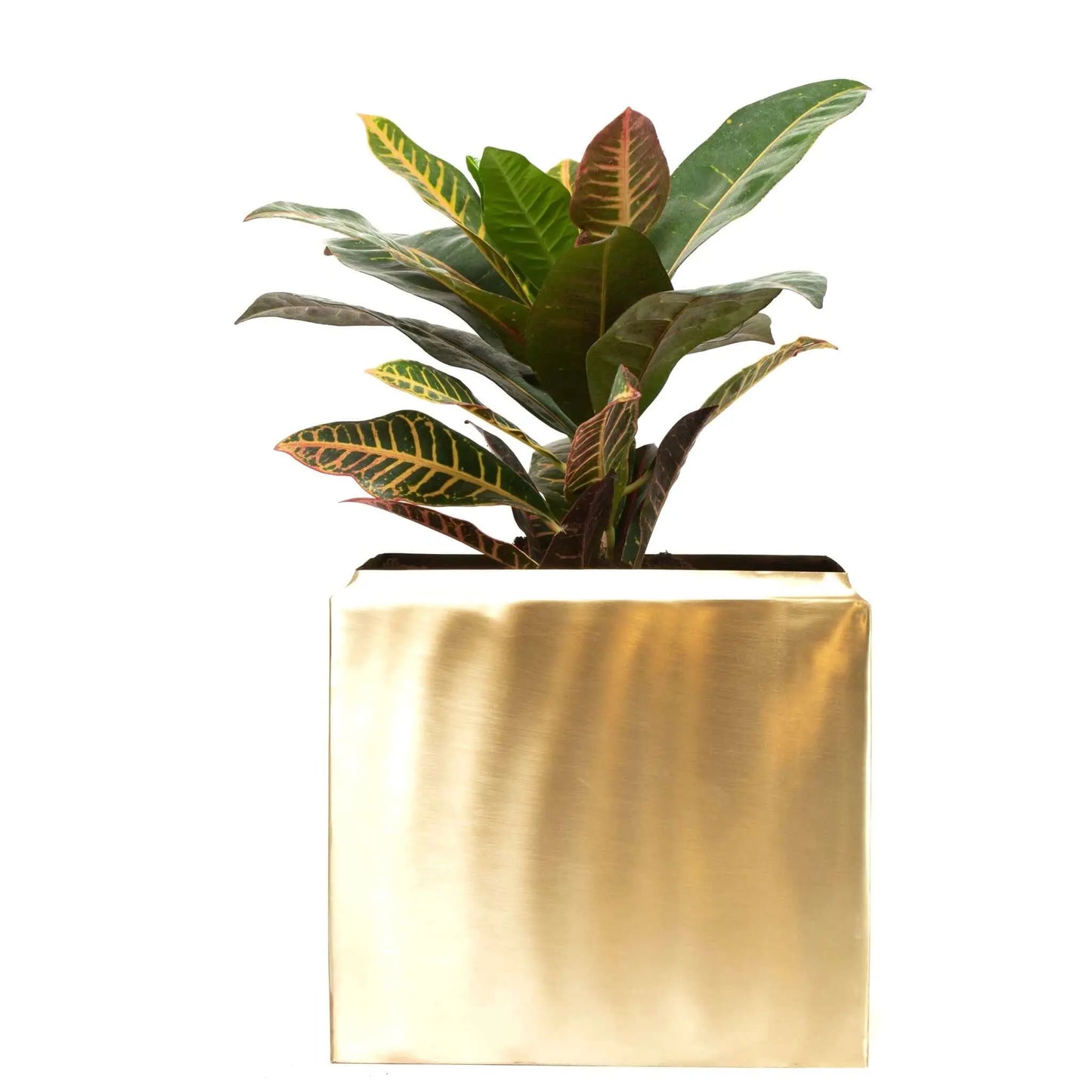 Brass Planter Plain Kamil Corporation