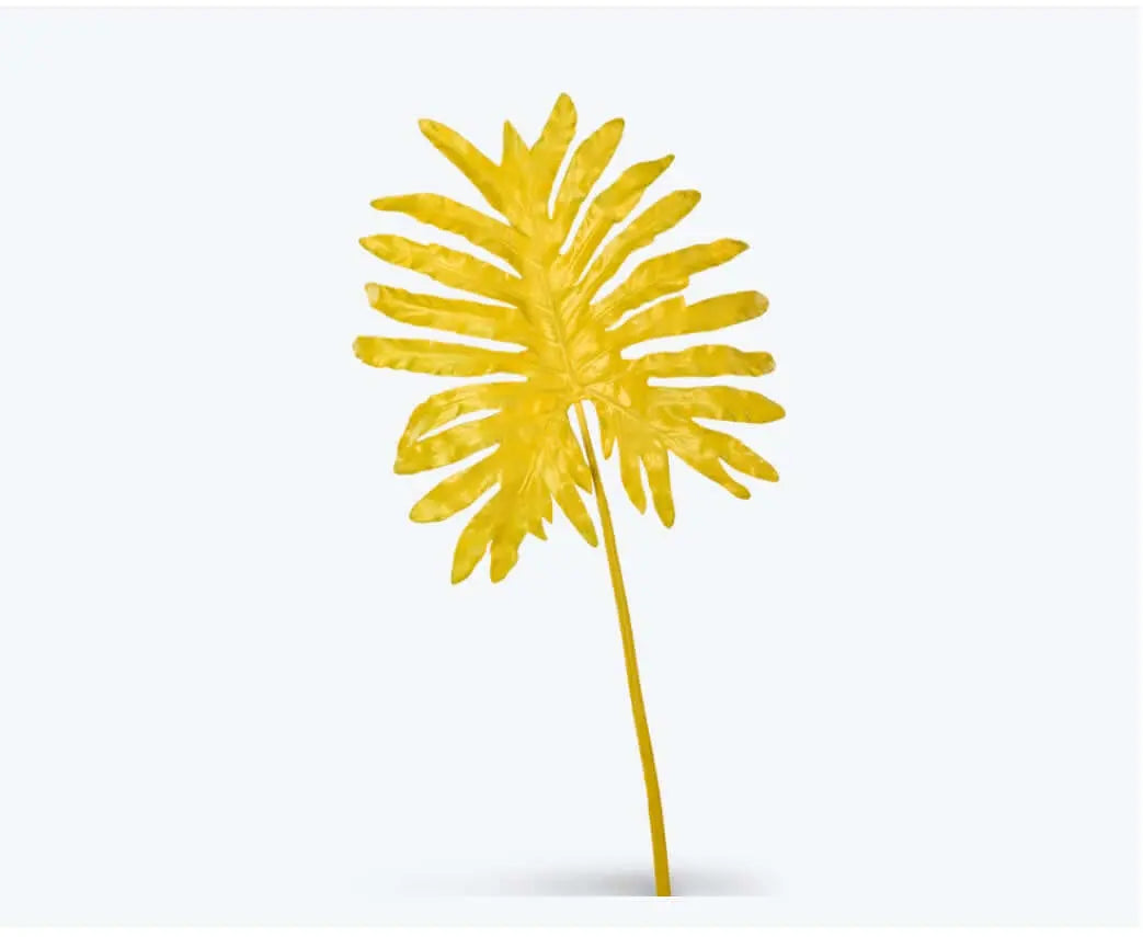 Selloum Leaf Yellow - Pieces SA