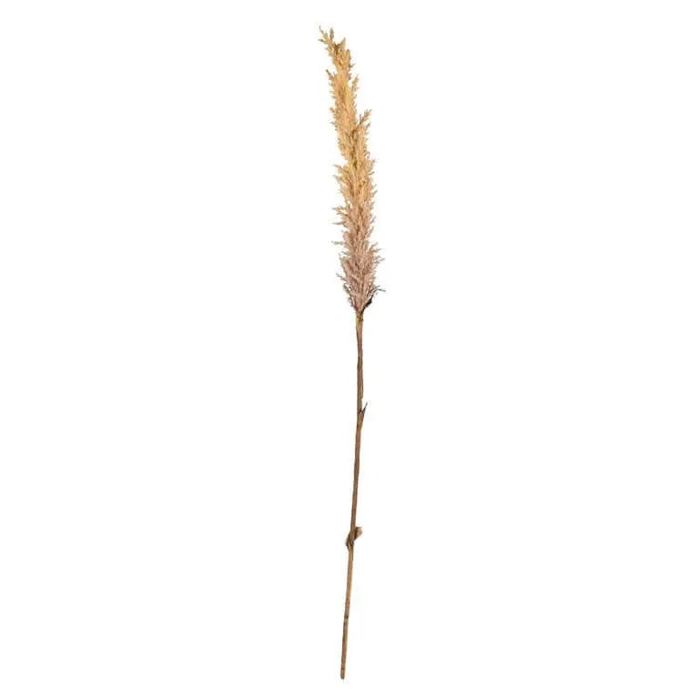 Decor Grass Light Plastic - Pieces SA