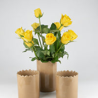 Load image into Gallery viewer, Medium Right Vase Pot Tazza Sand Gold Ceramic
