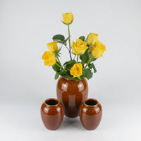 Load image into Gallery viewer, Vase Amber Bitz Small
