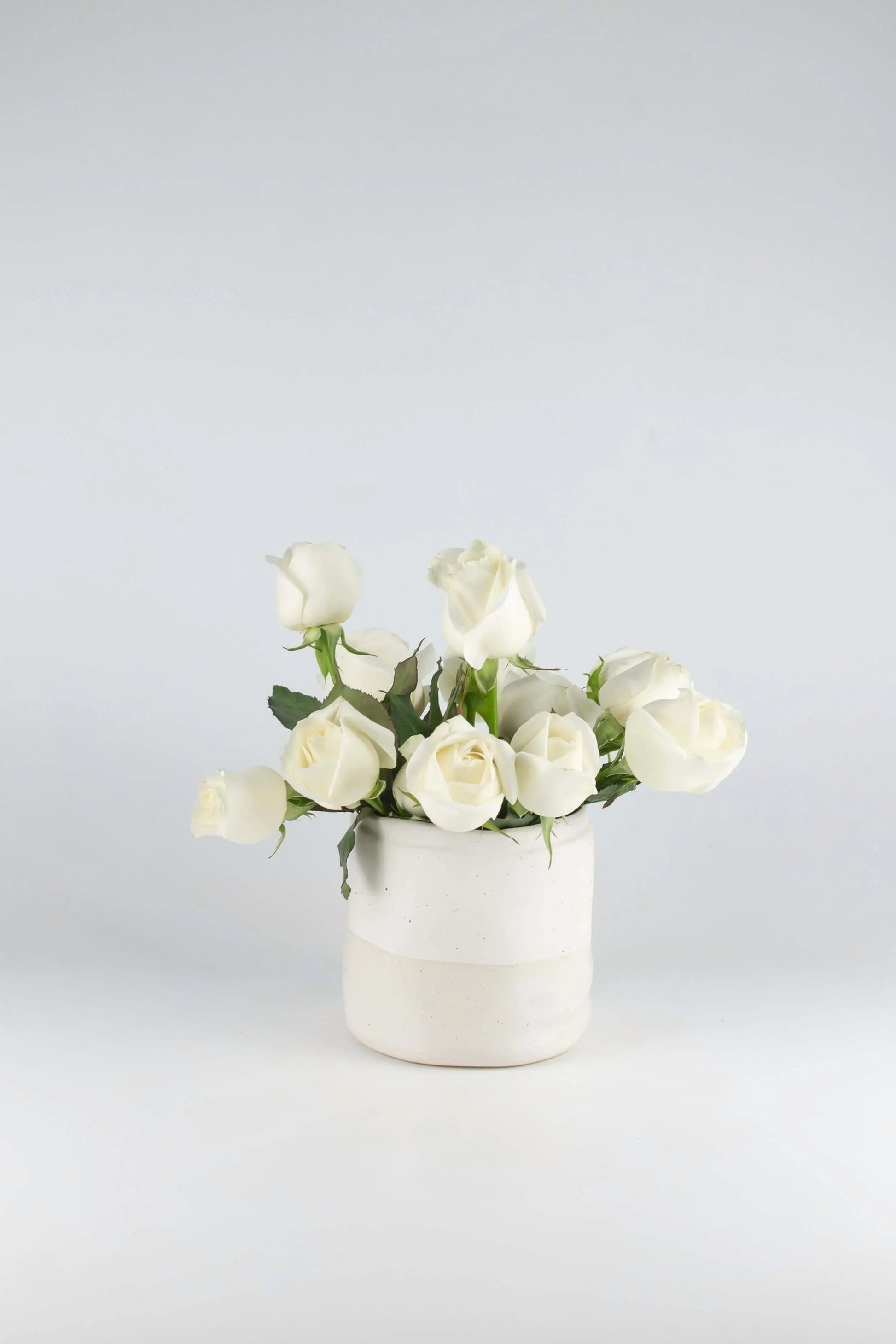 Flowerpot Ceramic White Small - Pieces SA