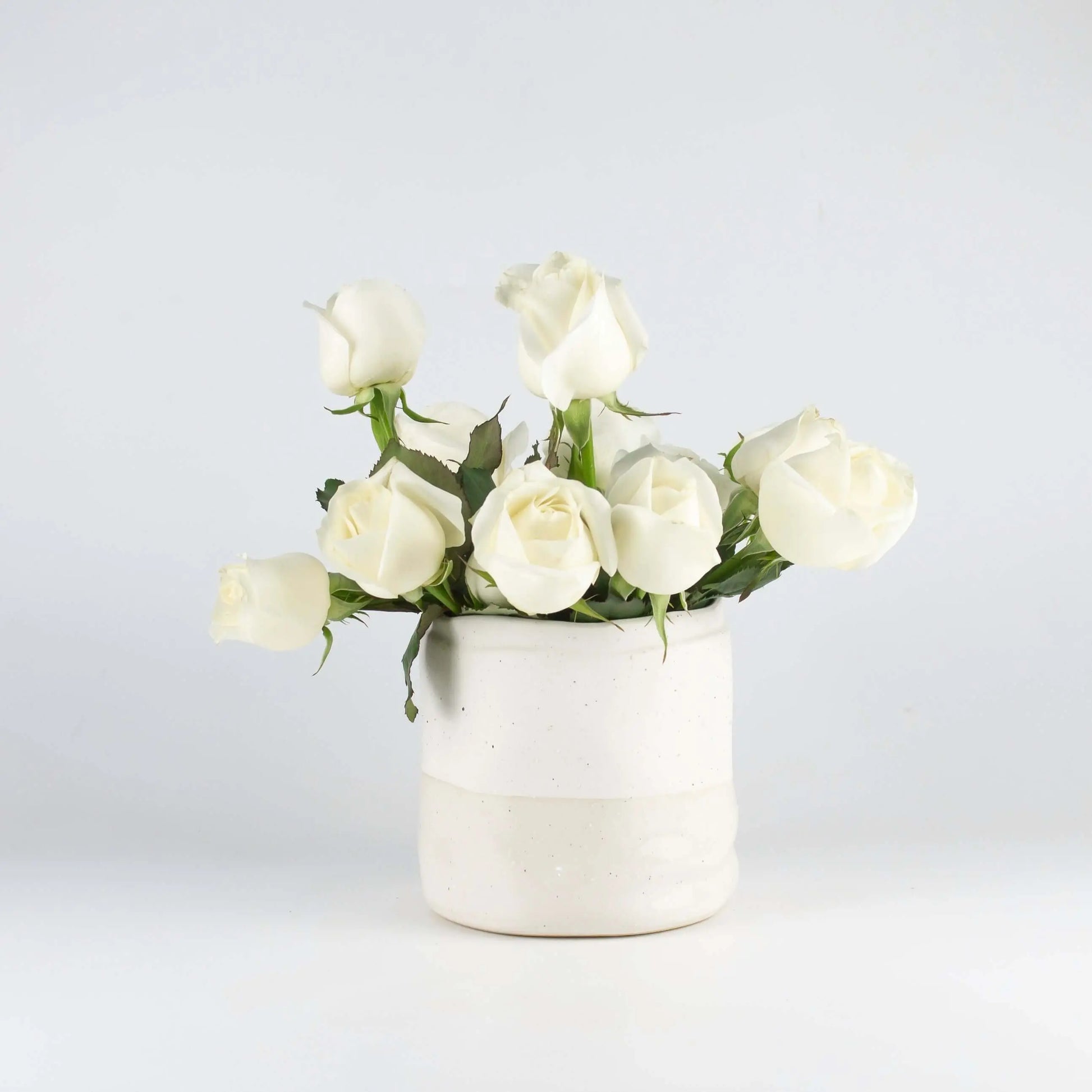 Flowerpot Ceramic White Small - Pieces SA